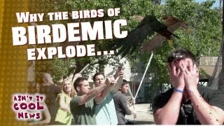 Why the Birds of Birdemic Explode