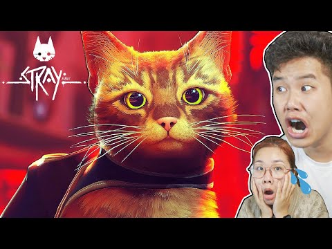 Kết thúc Cuộc Hành Trình Của Chú Mèo Trong Game Stray Cùng bqThanh và Ốc – Part 3 [HẾT]