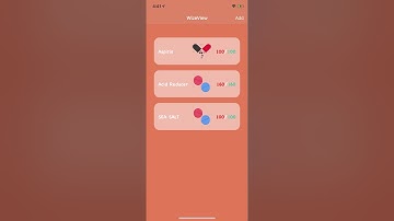 Duke ECE564 Team WizeView Final Project Demo Video
