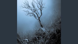 A mysterious game set in a dimly lit forest