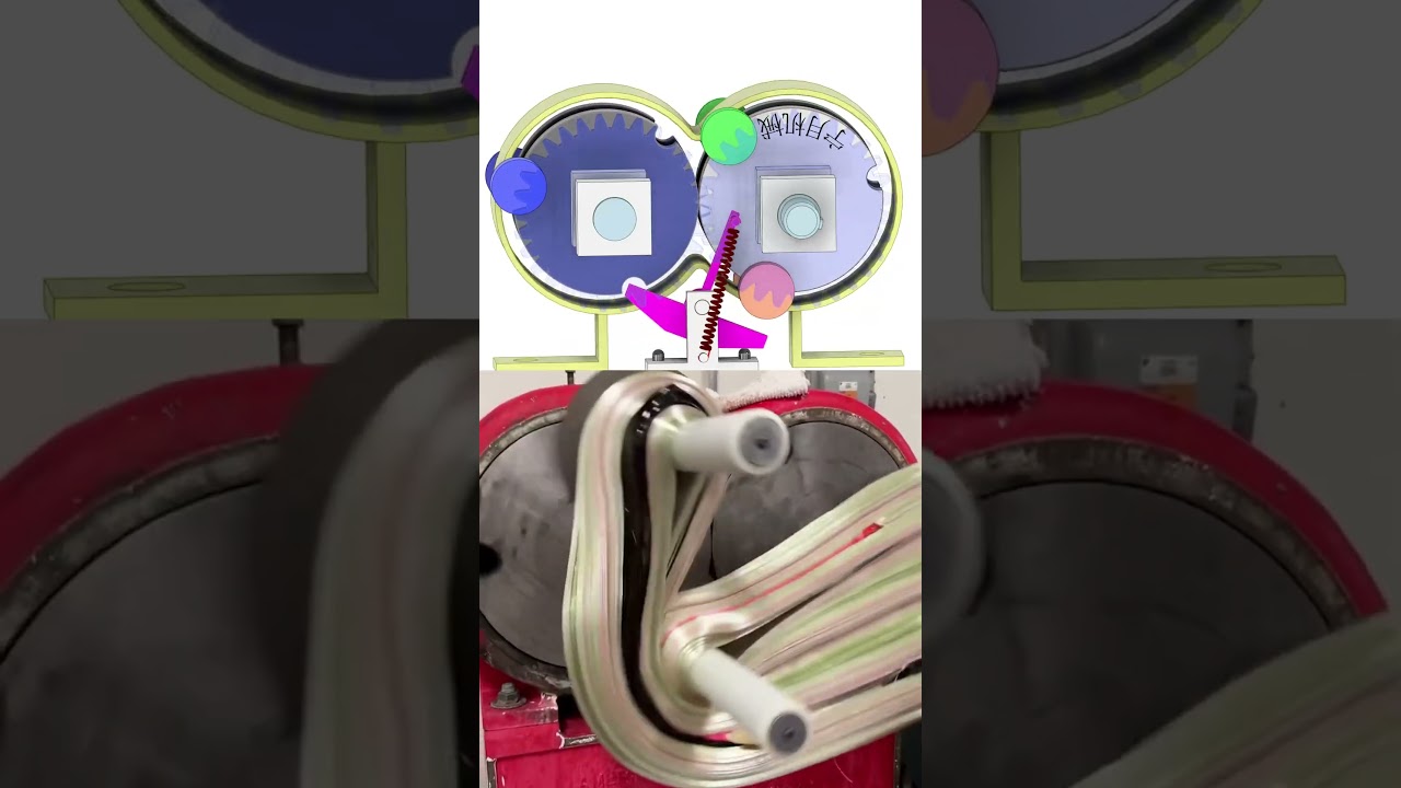 Circling the Eight Characters 