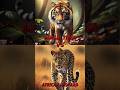 Asian Animals vs African Animals Battle!!
