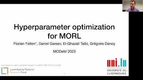 Hyperparameter Optimization for Multi-Objective Reinforcement Learning