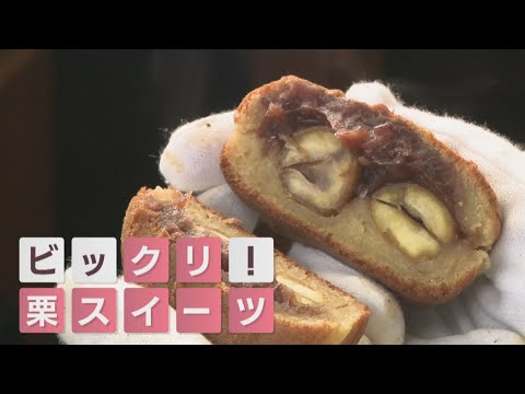 ボリューム満点！5種類の“あん”を楽しめる栗が丸ごと2個入ったお