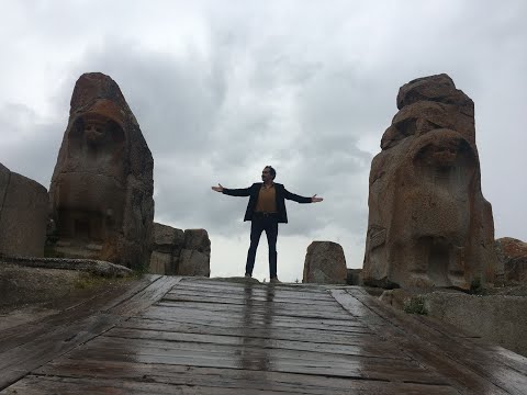 HAZINE AVI 2022