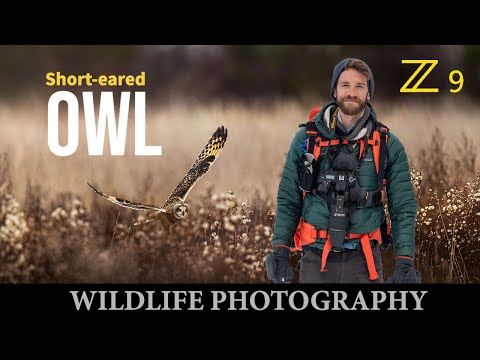 Owl Photography | Nikon Z9 Camera Settings | Wildlife Photography in British Columbia Canada.