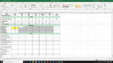 31.1 Aggregate Planning Excel