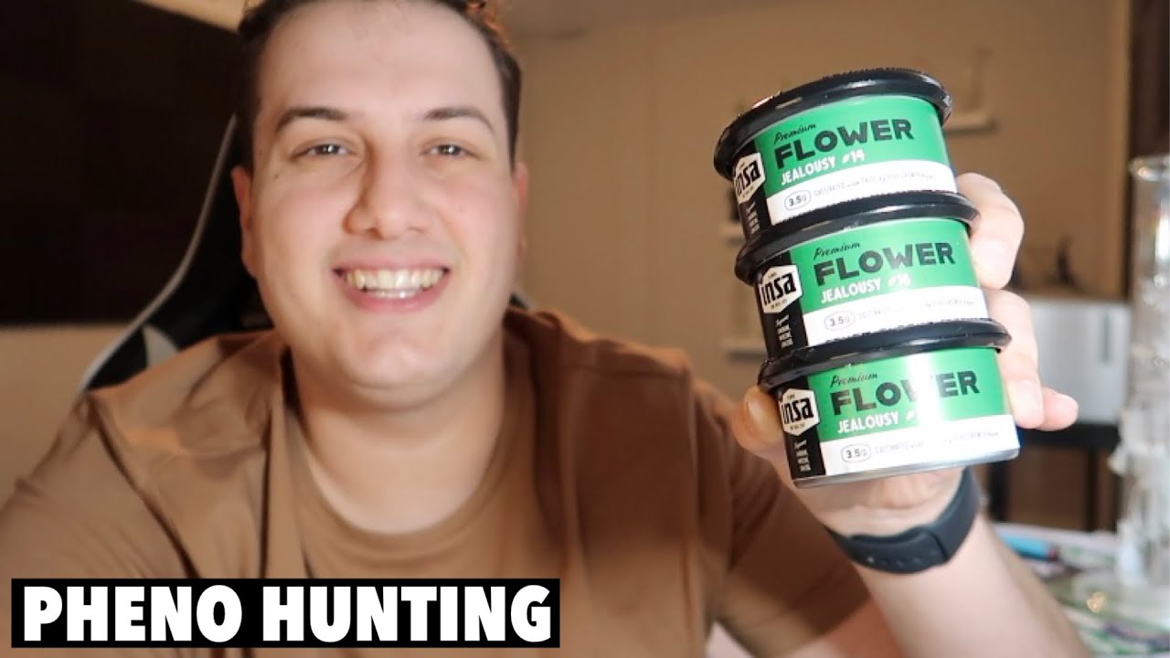 Same Strain… Different Phenos? (Jealousy Phenotypes)