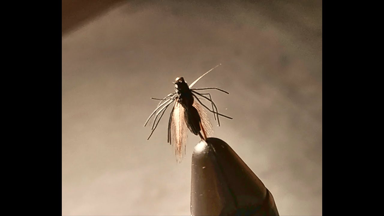 Costruzione mosca secca formica - Deer Ant (modello di A. Roncallo) - Costruisce P. Lucchini