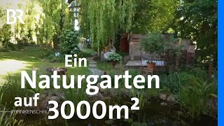 Download Lagu Naturgarten mit Gartenteich | Seltenes Saatgut und Anbautechniken von früher | Frankenschau | BR MP3 Download Lagu Naturgarten mit Gartenteich | Seltenes Saatgut und Anbautechniken von früher | Frankenschau | BR MP3
