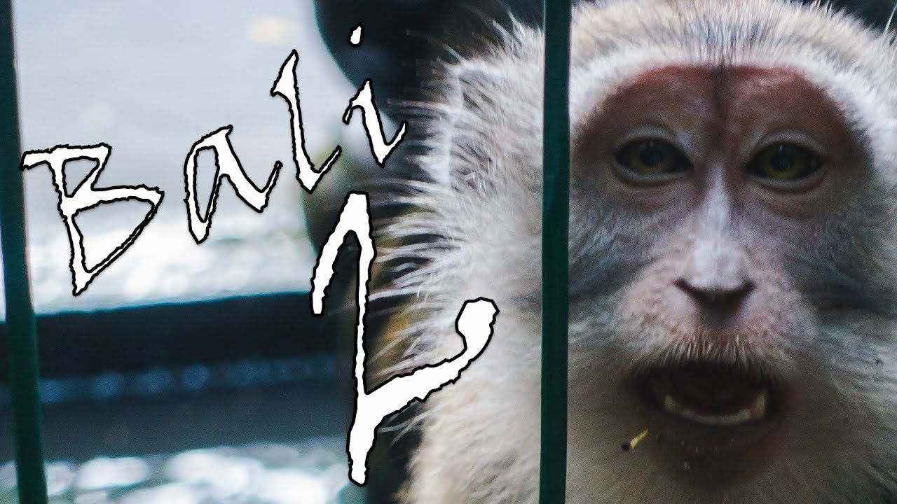 ليبي في بالي 2 مشينا لغابة القرود و الشلالات و معرفنش نرجعوا للبيت 🐵 ...
