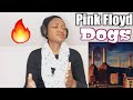 First reaction to Pink Floyd - Dogs