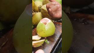 Coconut Cutting Mastery #coconutcutting #satisfying #shorts