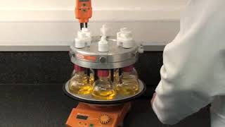 Carousel 6 plus demonstration