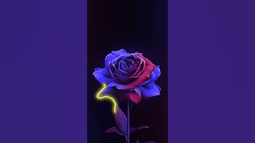 سورة الهمزة ـ القارئ إسلام صبحي💜