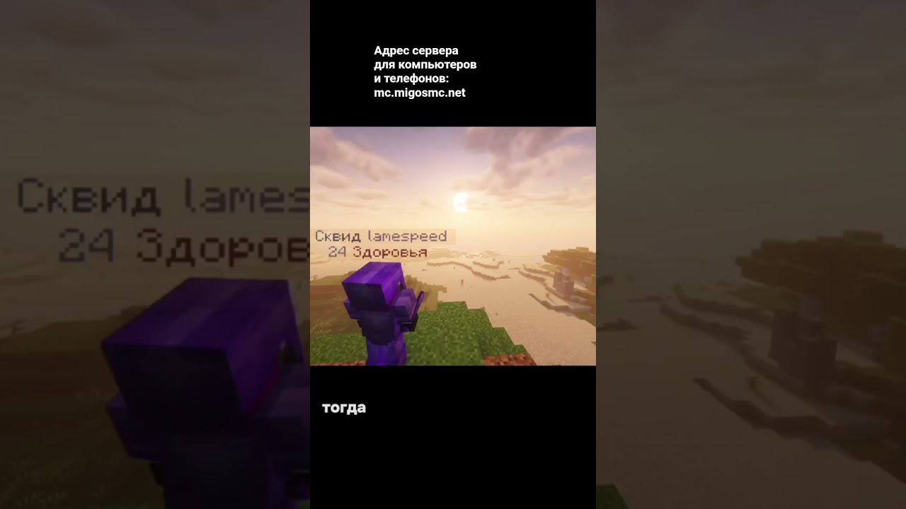 series 177 IP: mc.migosmc.net 