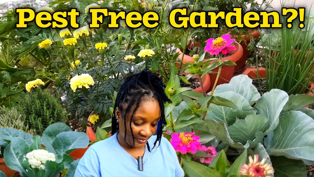 Can You Keep Your Garden PEST FREE? Here Are Your Answers 