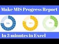 MIS Report in Excel Progress Chart