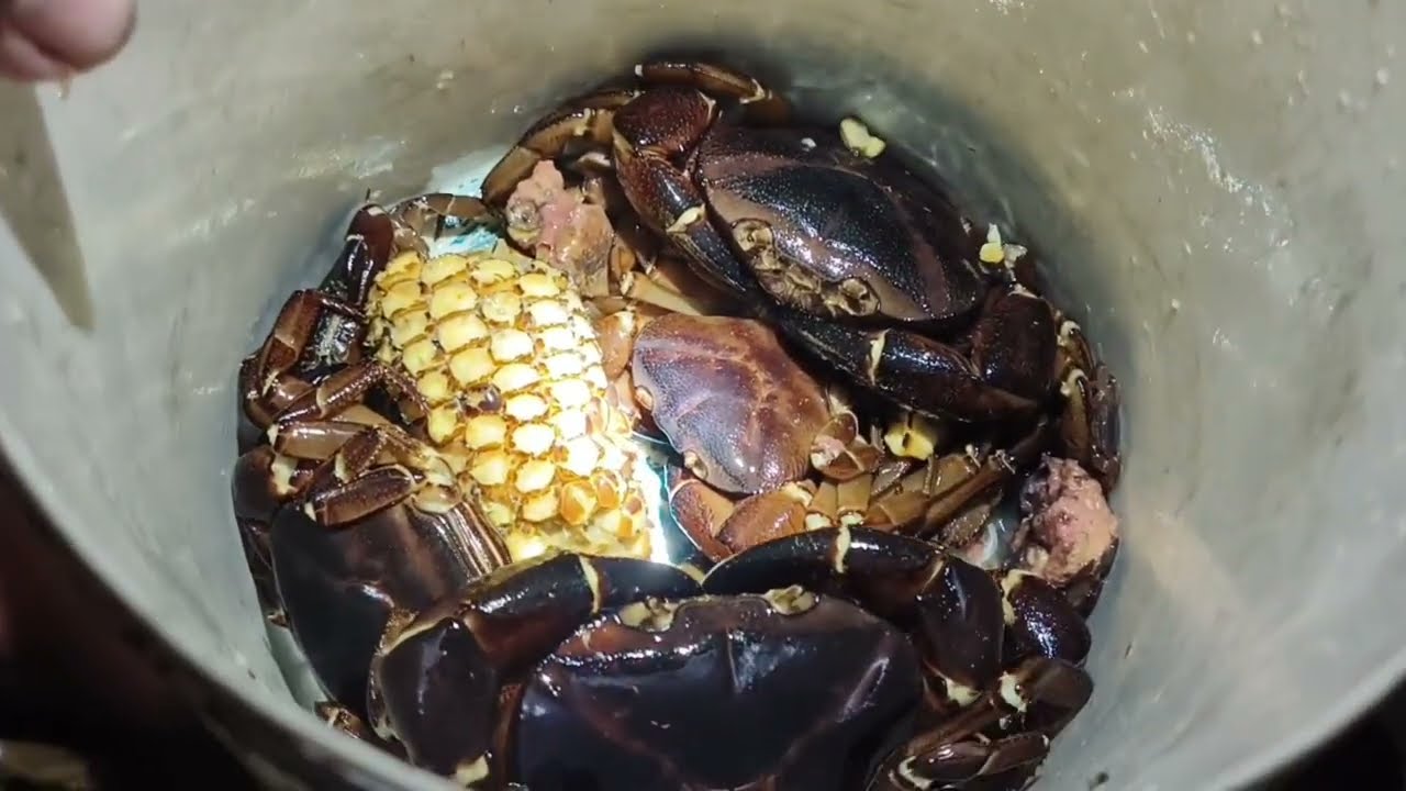 AIAWT en vawi 3-na...man leh nual mai