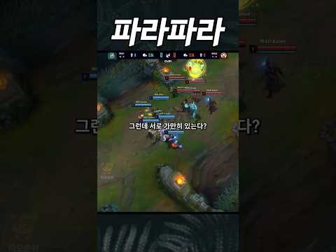 " LEC에서 나온 단체 파라파라 댄스 "