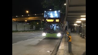 SMRT Bus Service 960 [SG6114D]: Aft Tanglin CC → Promenade Stn/Pan Pacific