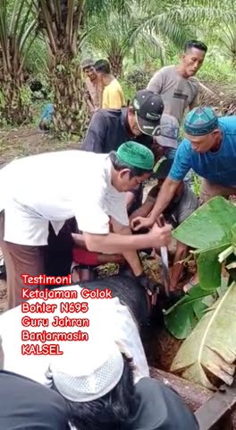 Testimoni Ketajaman Golok Bohler N695 dari Guru Jahran - Kalsel 👍🇮🇩