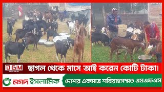 ভাগ্য বদলে গেল ছাগল থেকে! DGM News