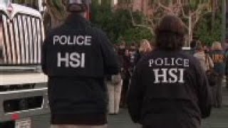 Homes raided over alleged Chinese 'birth tourism' rings