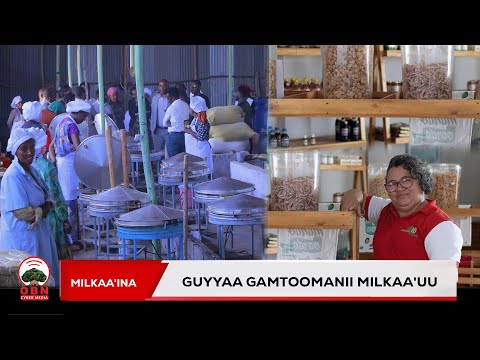 Guyyaa Waldaalee Interpiraayizii Xixiqqaafi Giddu Galeessaa Waxabajjii 20