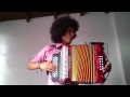 Blurred Lines (Robin Thicke ft. T.I., Pharrell) - Cover Accordion - Mulett