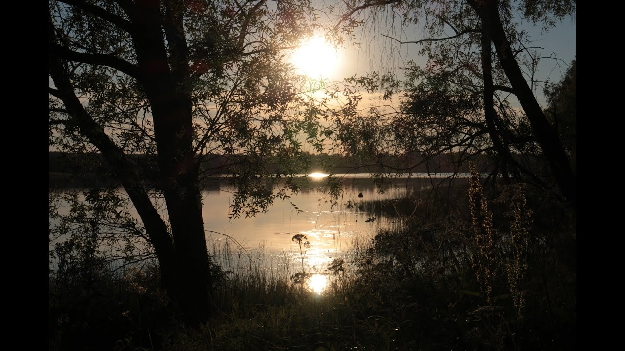 Nyt pelko pois (Virsi 928)