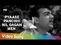 Pyaase pachhi neel gagan mein  pyase panchi 1961  mehmood  ameeta  jeevan