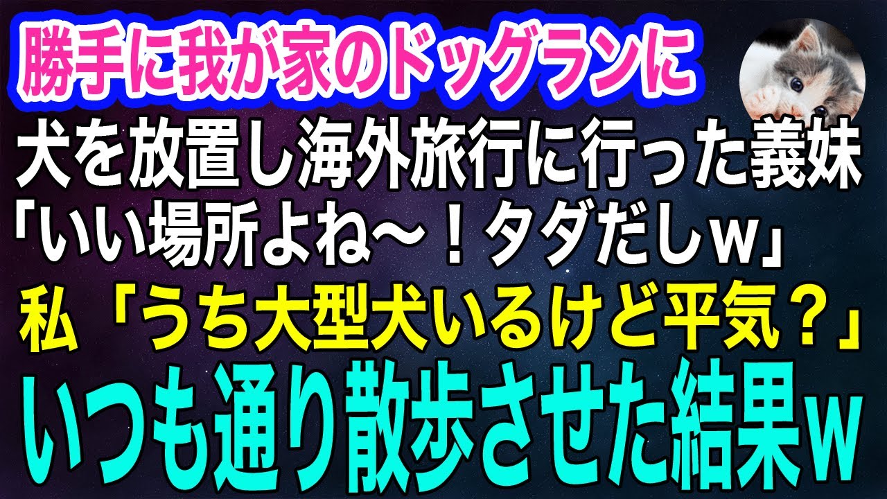 勝手に我が家のドッグランに犬を放置し海外旅行に行った義妹「いい場所よね～！タダだしｗ」私「うち大型犬飼ってるけど平気？」→いつも通り散歩させた結果…ｗ【スカッとする話・年金シニア生活】