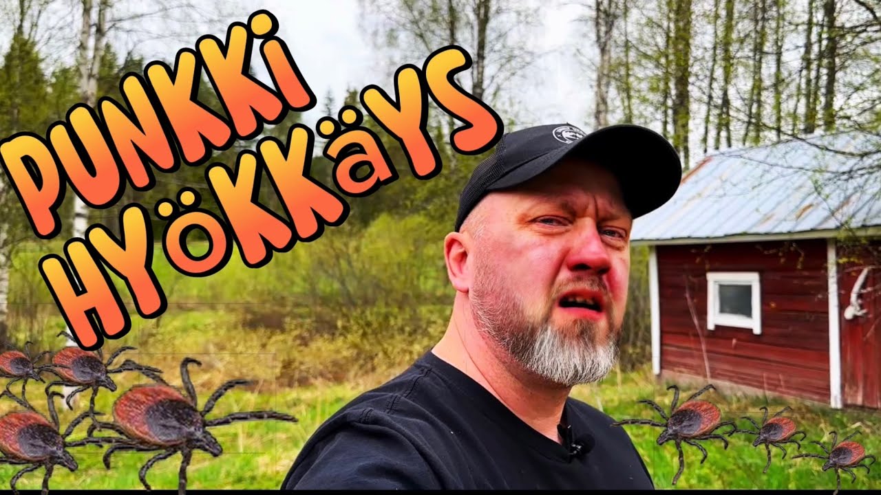 Autiotalo & Punkki hyökkäys