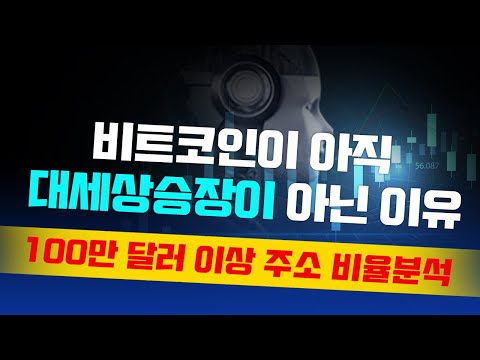   비트코인 옵션 규모 증가 비트코인 아직 대세 상승 아닌 이유 100만 달러 이상의 BTC 주소 비율 Ai 시그널 차트