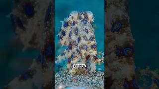 os ANIMAIS Mais PERIGOSOS Do Planeta!! 💀💀