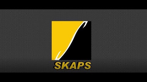 SKAPS Industries Corporate