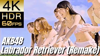 1周年&1000MV達成!! My fave MV [AKB48] ラブラドール・レトリバー (Remake)【4K60fpsHDR】
