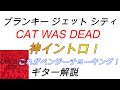 ブランキー CAT WAS DEAD ギター解説