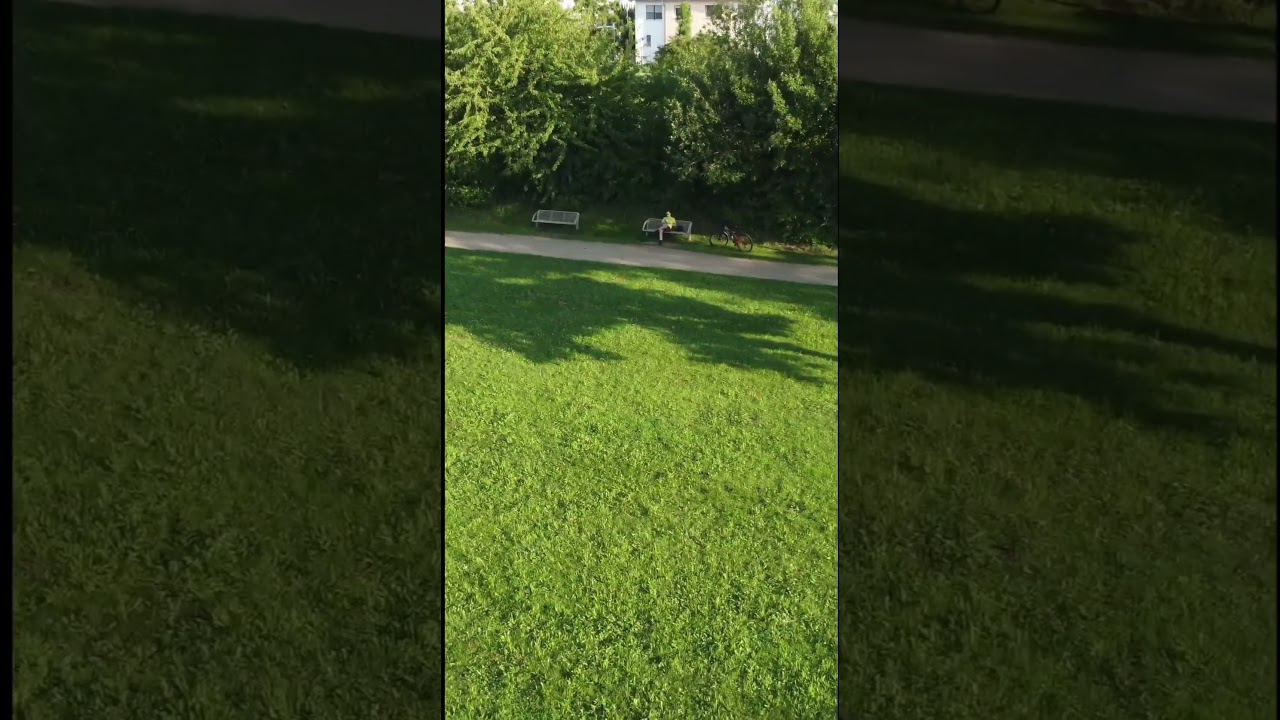 Amorbach Park, Neckarsulm, short