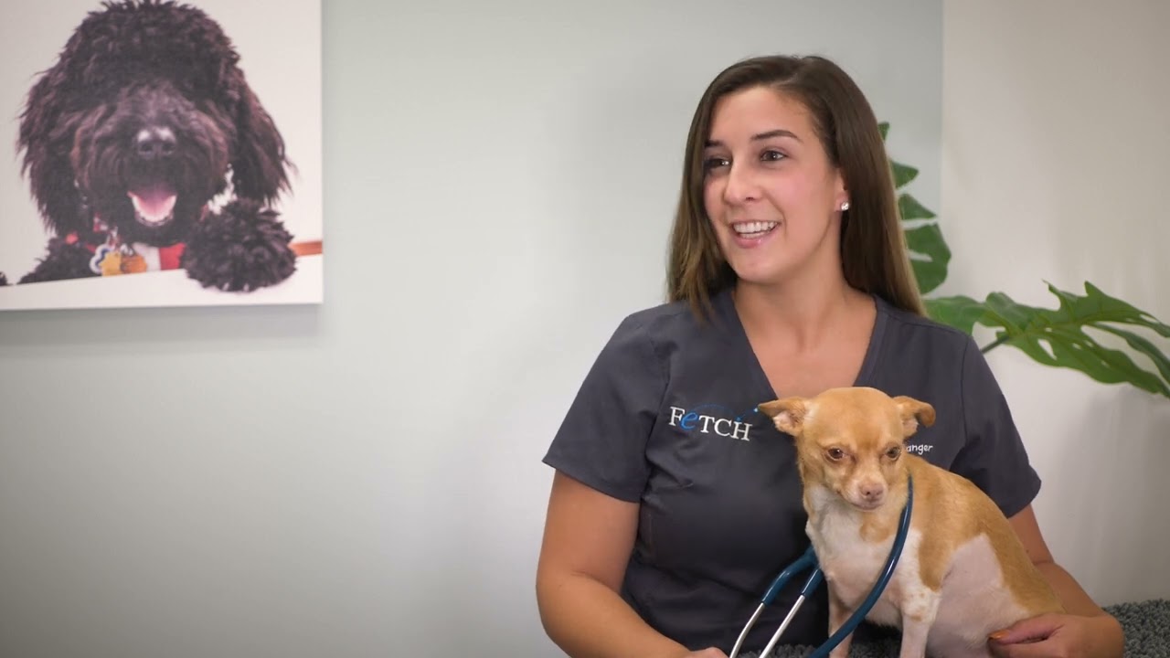 Emergency - Fetch Specialty & Emergency Veterinary Centers