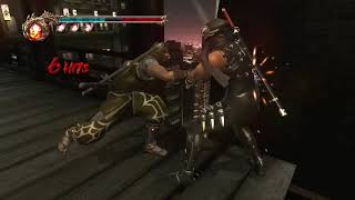 Rage - Ninja Gaiden 2