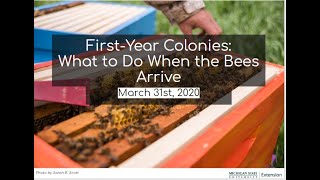 First Year Colonies: What to Do When the Bees Arrive