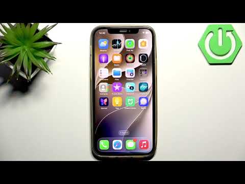 Wildies App Vibrations et Sons : Guide Complet d'Accessibilité