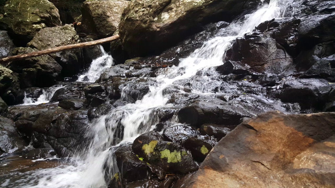 4K Waterfalls sounds. Twin Falls, Springbrook.