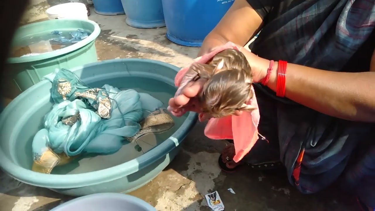 13 November 30, 2024