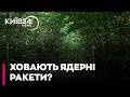 🌳ЗАЧИСТКА КОРДОНУ 2026! Притула-Білорусь закрила ліси біля України та Польщі. Розкрито таємний наказ