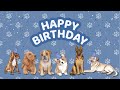 Dog friendly happy birt.ay background  pet birt.ay screensaver  blue birt.ay decor tv banner