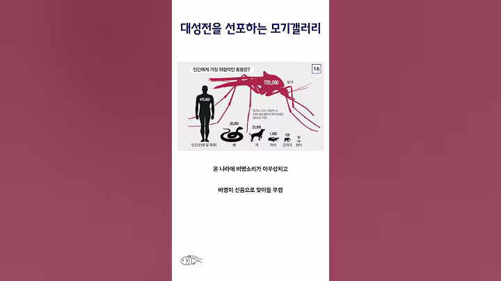 대성전을 선포하는 모기갤러리 #shorts