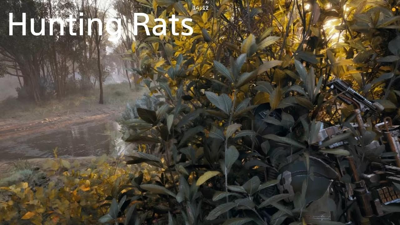 ARC Raiders Rat Hunting